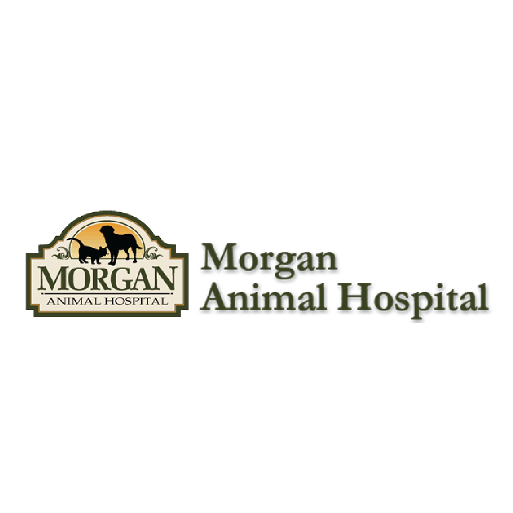 Morgan Animal Hospital