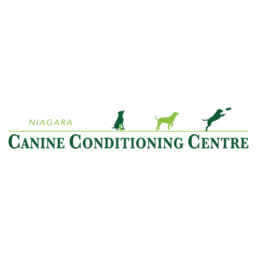 Niagara Canine Conditioning Clinic