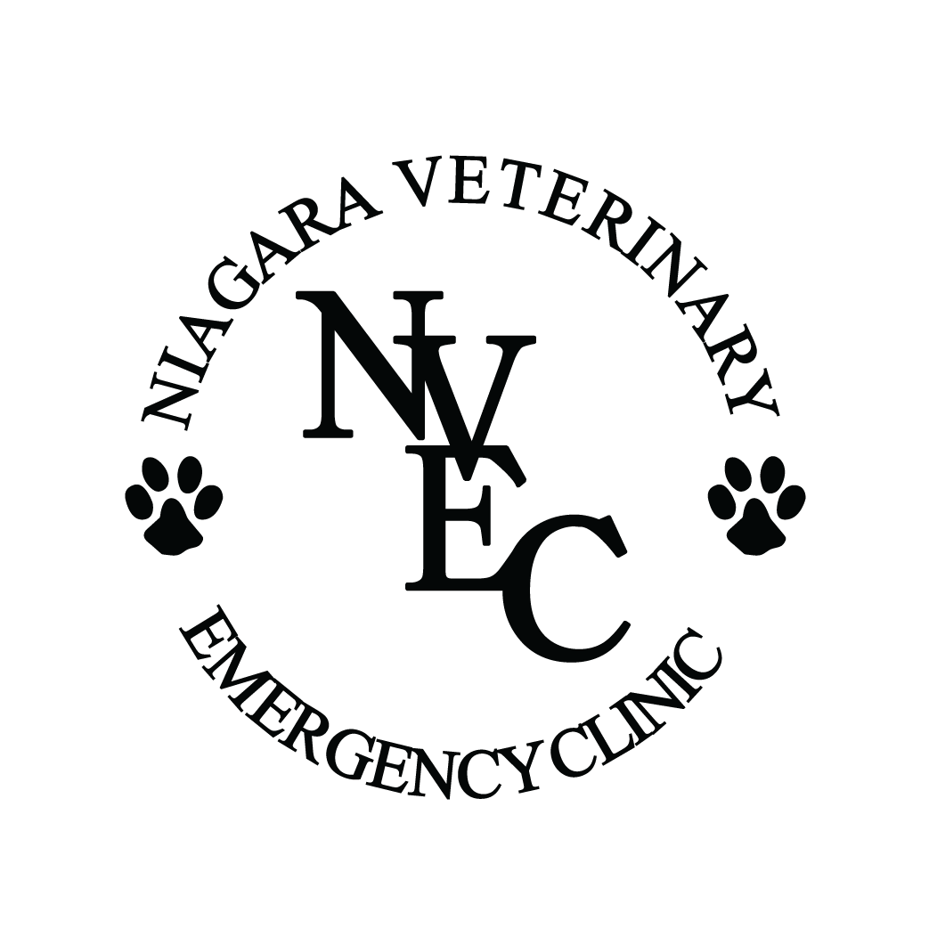 Niagara Veterinary Emergency Clinic
