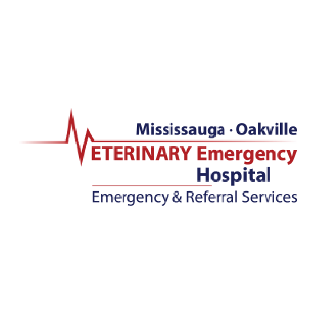 Veterinary Emergency Hospital